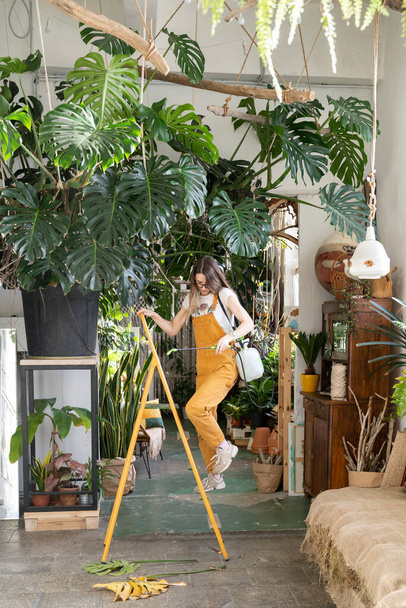 Γυναίκα κηπουρός στον εσωτερικό κήπο. Ανθοπωλείο εργασία στο θερμοκήπιο με φυτά εσωτερικού χώρου. Φροντίδα φυτών - Φωτογραφία, εικόνα