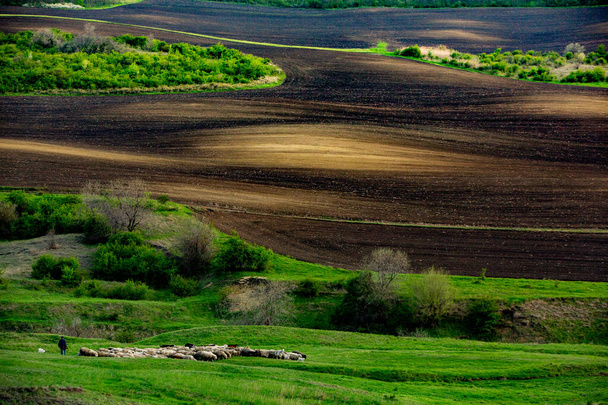 Textuur van bruine landbouwgrond. Mooie zonsopgang op de boerderij. De boerderij in Moldavië, Europa. Vers geploegd voorjaarsveld voor het planten van groentezaden. - Foto, afbeelding