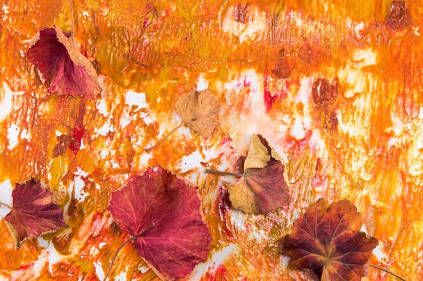 Oranje aquarel grunge achtergrond met rode herfstbladeren - Foto, afbeelding