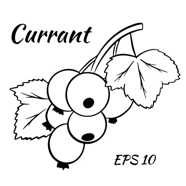 Vector black currant colorful illustration isolated on white background. Cartoon style. - Vetor, Imagem