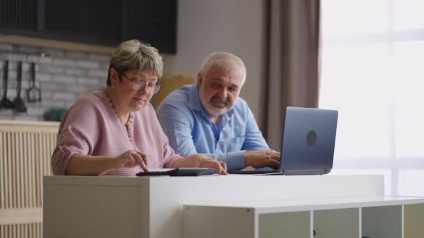 pareja de jubilados están contando sus gastos e ingresos sentados juntos en la cocina en el apartamento, anciano y mujer - Imágenes, Vídeo