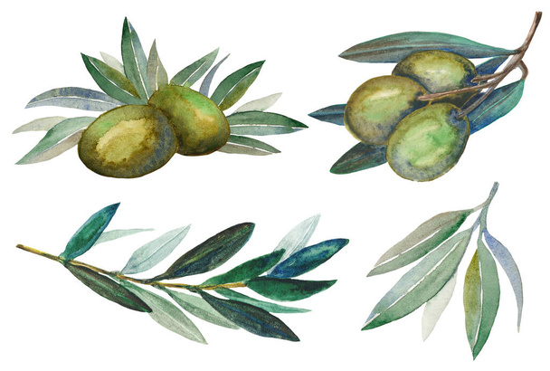 sertie d'olives vertes, de branches et de feuilles d'olivier sur fond blanc - Photo, image