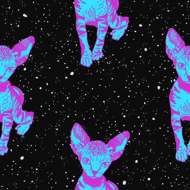 Gatitos de esfinge. Los gatos en el fondo del cielo estrellado noche, el espacio. Estampados para ropa, tema Espacio, camisetas. Vector - Vector, Imagen