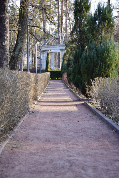 Gravel path between the bushes in perspective to the stone gazebo in the park - Photo, Image