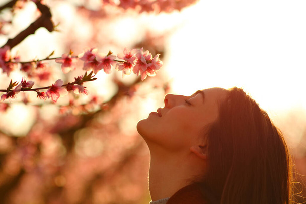 Side view portrait of a woman silhouette smelling flowers at sunset in a flowered field - Foto, Imagem