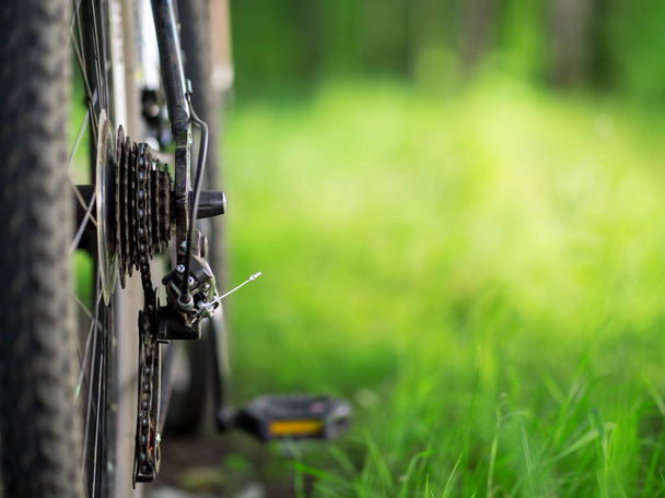 Гірський велосипед крупним планом на зеленому лісі фонд копіювання простору
 - Фото, зображення