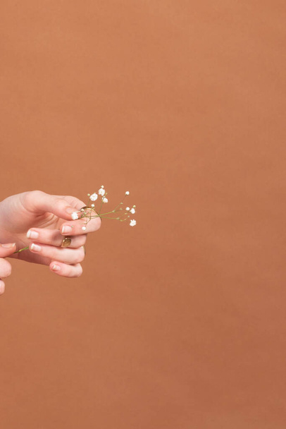 Handen van een jong meisje met een klein boeket bloemen met een bruine achtergrond. - Foto, afbeelding