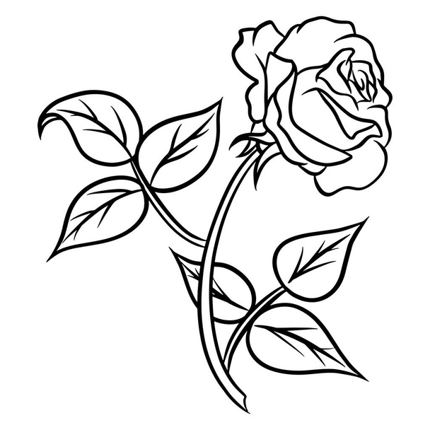 Hand-drawn roses. Beautiful flower. Cartoon style. Vector illustration. For design and decoration. - Vektör, Görsel