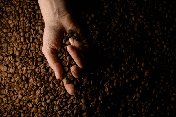 top view of female hand holding roasted coffee beans against background of other coffee beans. - Foto, afbeelding
