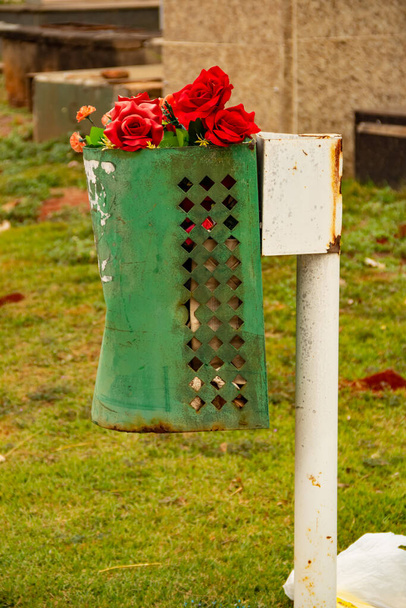 Algunas rosas rojas dentro de un vertedero en un cementerio en la ciudad de Goiania. Parque del cementerio. - Foto, Imagen