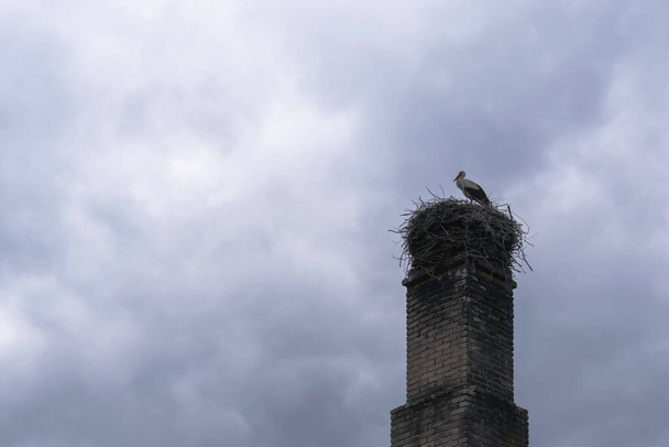 White stork in a nest located on a high brick chimney of an old building against a cloudy sky with dense clouds. Scenery. Fauna, wildlife. Ornithology. Horizontal photo with place for text.  - Photo, Image