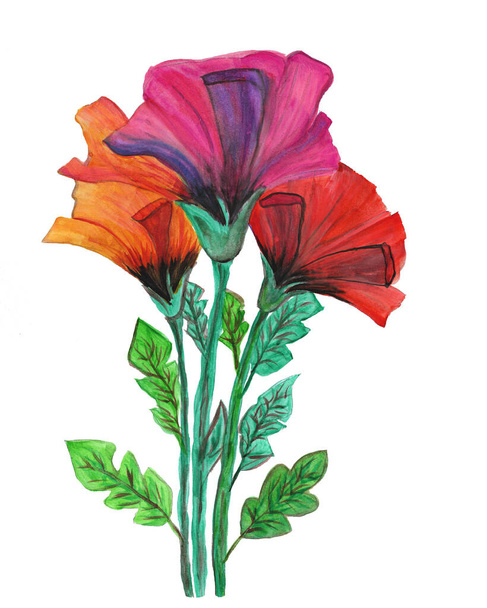 Bouquet of flowers watercolor hand drawn, illustration of delicate plants - Φωτογραφία, εικόνα