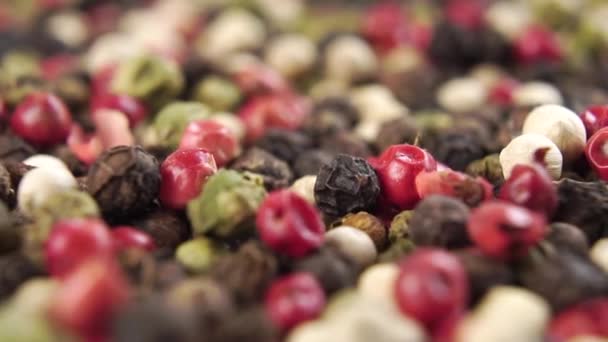 A multicolored peppercorn falls in a heap in slow motion. Variable dried hot pepper seeds. Macro shot - Séquence, vidéo