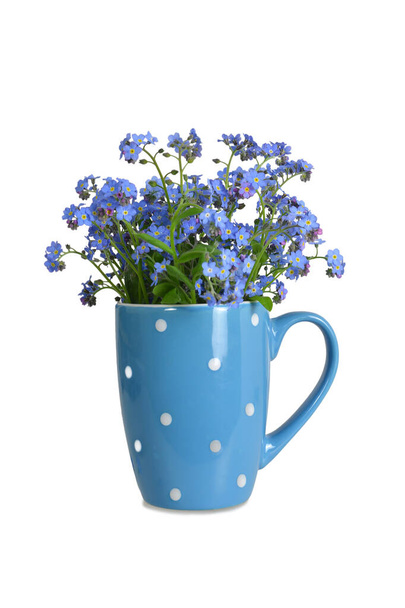 Dimenticami non fiori in tazza isolato su sfondo bianco - Foto, immagini