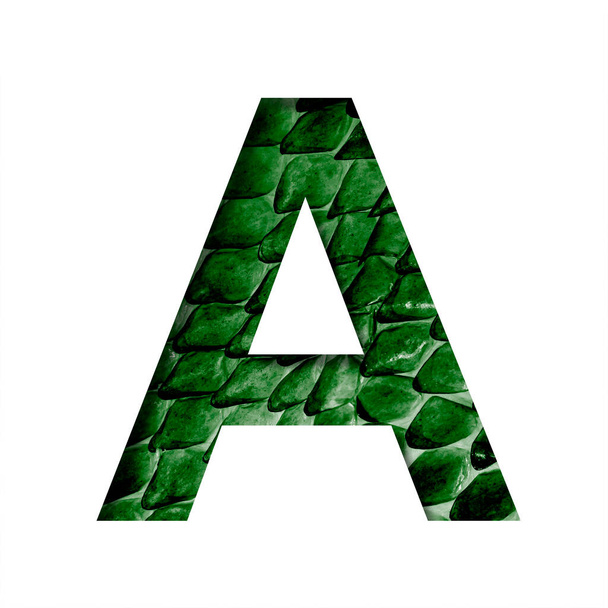 Dragon skin font. The letter A cut out of paper on the background of the dark green skin of a mystical dragon with scales. Set of decorative fonts - Foto, afbeelding