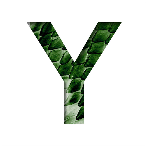 Dragon skin font. The letter Y cut out of paper on the background of the dark green skin of a mystical dragon with scales. Set of decorative fonts - Photo, Image
