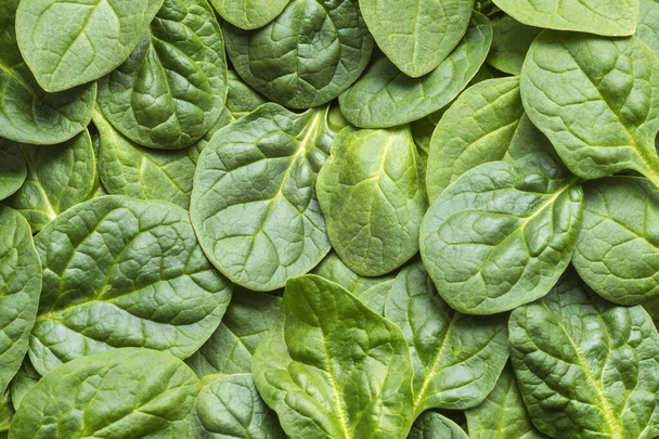 Κάτοψη σε φρέσκα φύλλα σπανακιού. Υγιή vegan τροφίμων φόντο - Φωτογραφία, εικόνα