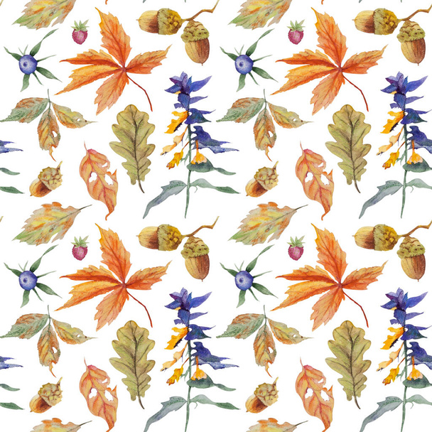 Seamless pattern with watercolor forest plants on white background. - Фото, зображення
