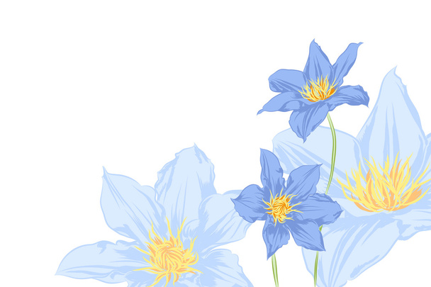 Floral background - Vektor, obrázek