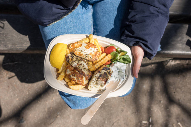 Delicioso plato vegetariano griego fastfood para llevar en un plato unidireccional, con halloumi, papas fritas, tzatziki y ensalada. Tenedor de madera en el parque a la luz del día. Placa de comida vegetariana estilo griego - Foto, Imagen