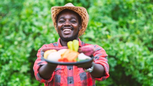 Χαμογελάστε Αφρικανός αγρότης που κρατάει ένα πακέτο λαχανικά. Βιολογικά λαχανικά έτοιμα για σερβίρισμα στην υπηρεσία παράδοσης σαλάτας - Φωτογραφία, εικόνα