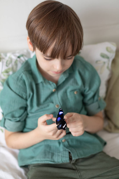 Caucasian boy holds on his finger a beautiful tropical butterfly with bright wings. A child admires the wonderful nature - Photo, Image