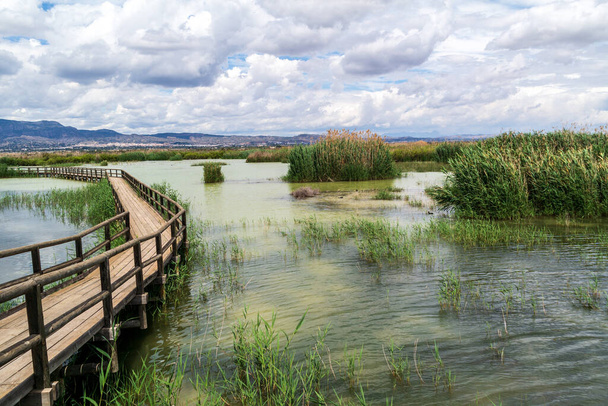 Passerelle sui laghi al Parc Natural el Fondo in Spagna - Foto, immagini