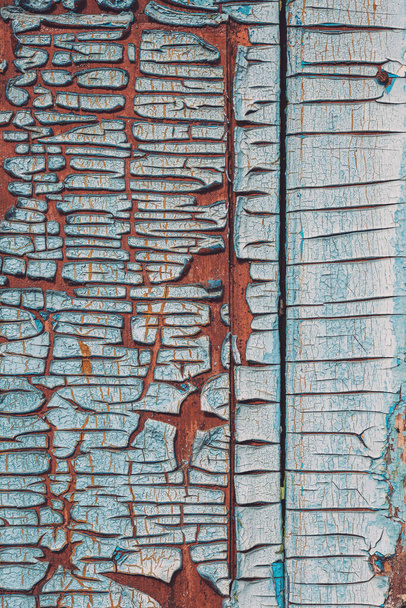 Egy fából készült ajtó töredéke. Régi festék. Megrepedt a festék. Törött festék egy fa felületen. A repedések szerkezete. A régi fa textúrája. Grunge textúra. Kék háttér. - Fotó, kép
