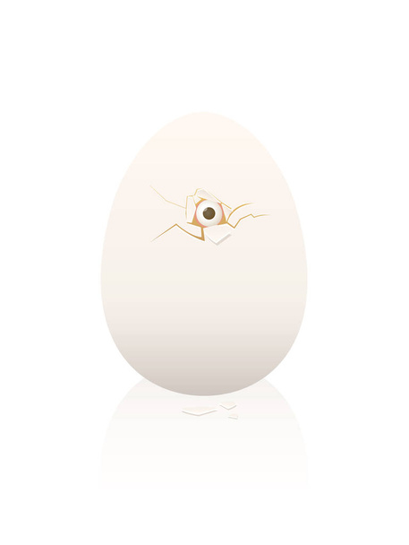 Куриное яйцо, вылупляющийся цыпленок, выглядывающий из сломанной яичной скорлупы одним глазом, символизирующий опасения, неуверенность, страх или храбрость. Векторная иллюстрация на белом. - Вектор,изображение