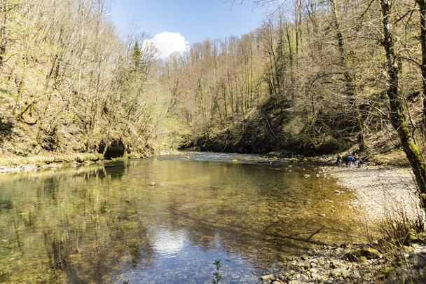 Wunderschöne grüne Farbe des Gebirgsflusses Kupa an seiner Quelle, tief in der Schlucht des Nationalparks Risnjak zu Beginn der Frühlingssaison - Foto, Bild