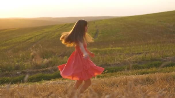 Boldog hosszú hajú fiatal nő piros nyári ruhában forog az arany búza mezőn naplementekor. - Felvétel, videó