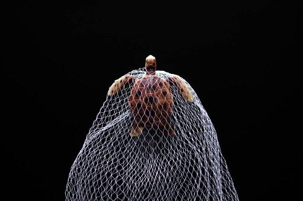 A turtle toy model trapped in white net on black background. Minimal world ocean day concept. - Photo, Image
