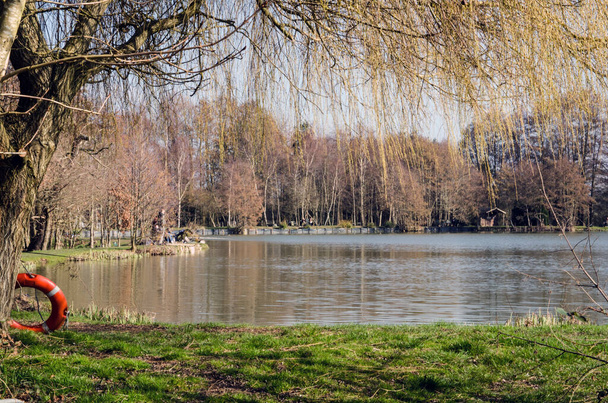 Pohled na slunný Jarní den rybářského jezera v Holme Grange, Wokingham, Berkshire.   - Fotografie, Obrázek