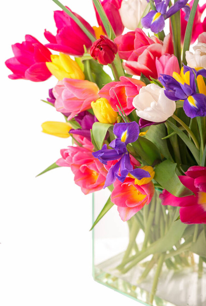 Many beautiful colorful tulips with leaves isolated. - Photo, image