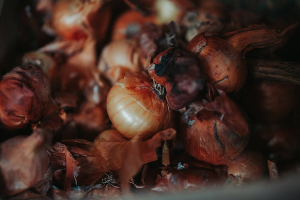 A pile of unskinned red onions collected together - Fotoğraf, Görsel