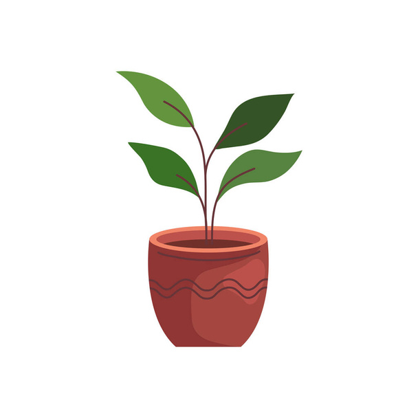 Домашнее растение в горшке - Вектор,изображение