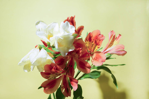 kytice krásných květin na jasném pozadí, koncepce jaro a den matek, zblízka   - Fotografie, Obrázek
