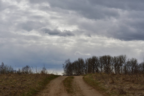 W pochmurny dzień, wiejska droga gruntowa wznosi się na opuszczonym i zarośniętym polu, na wzgórzu pod pięknymi chmurami są wiosenne drzewa bez liści. - Zdjęcie, obraz