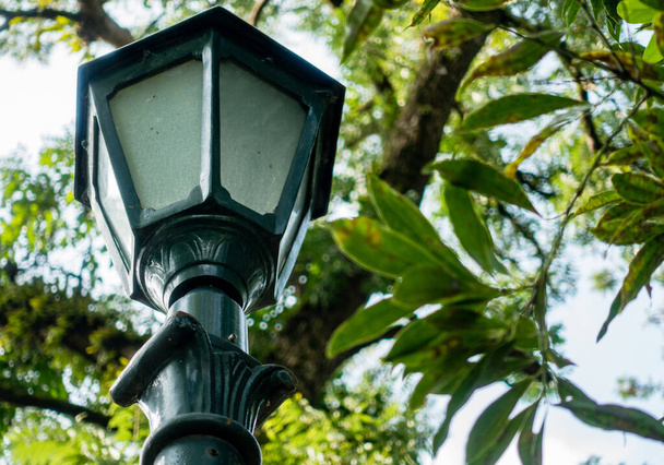 A tall lamp post on the road side with green trees on the background. - Photo, Image