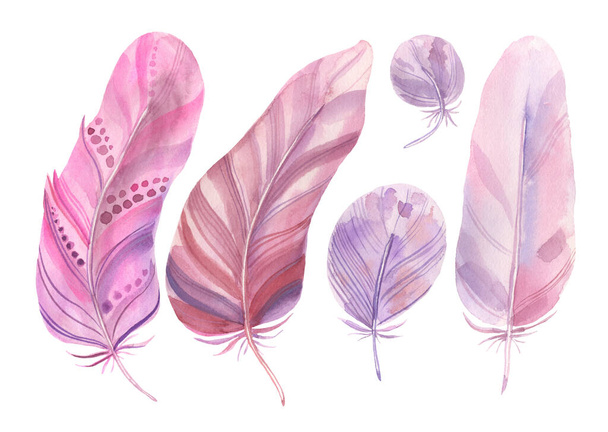 Conjunto de hermosas plumas fabulosas y esponjosas dibujadas a mano en acuarela aislada sobre un fondo blanco.  - Foto, Imagen