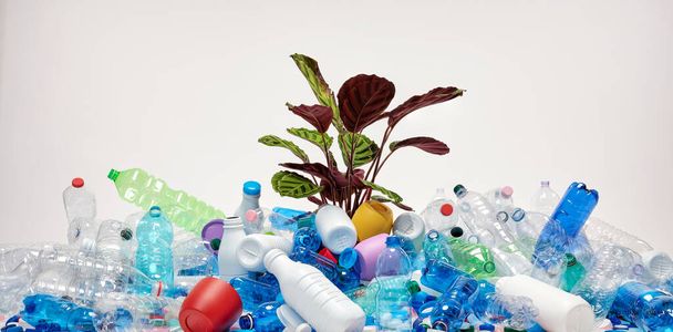 Plante qui pousse entre les bouteilles en plastique et les bouchons en plastique. Concept de sauvegarde de la nature et de l'environnement. Concept de recyclage du plastique. Concept sans plastique. - Photo, image