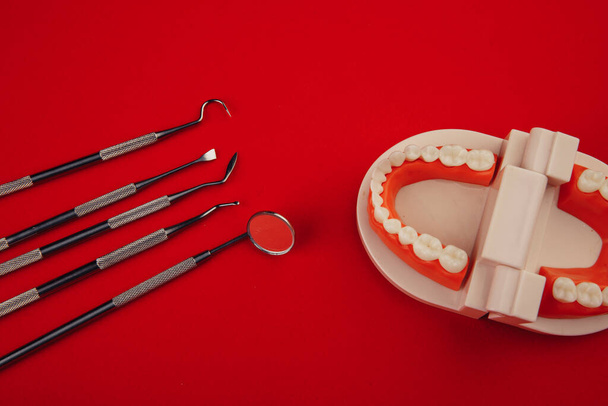 赤い背景に歯と顎の治療のための歯科用ツールのグループ。トップ表示 - 写真・画像