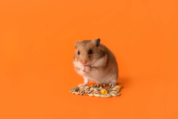 Adorable hamster eating seeds on orange background - Foto, Bild