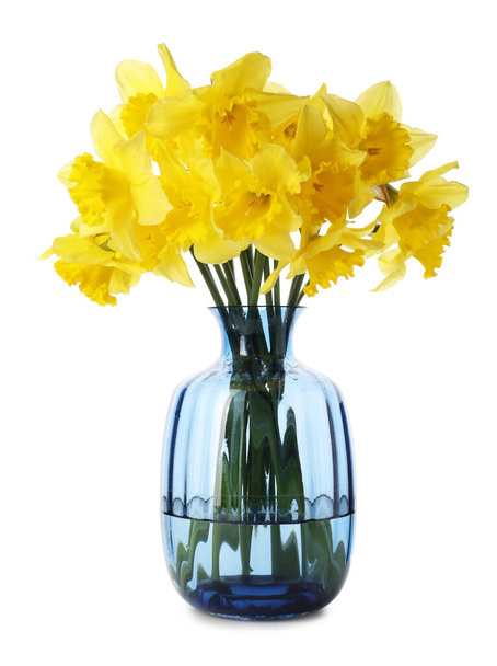 Beautiful daffodils in vase on white background - Foto, Imagen