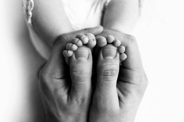 Los pies de un recién nacido en manos de un padre, padre. Fotografía de estudio, en blanco y negro. Concepto de familia feliz. - Foto, imagen