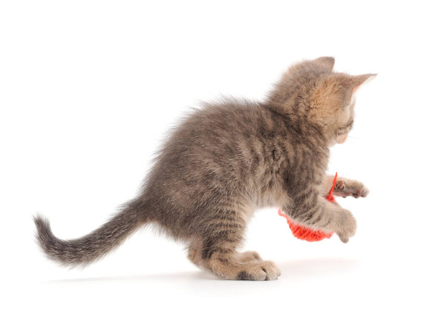 Little kitten playing with a ball of yarn isolated on white background. - Φωτογραφία, εικόνα