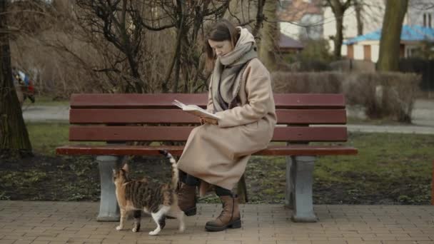 Νεαρή γυναίκα διαβάζει ένα βιβλίο με γάτα - Πλάνα, βίντεο