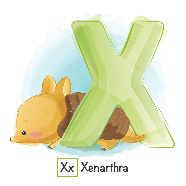 vector ilustración de dibujos animados de Animal Alphabet, x xenarthra - Vector, Imagen