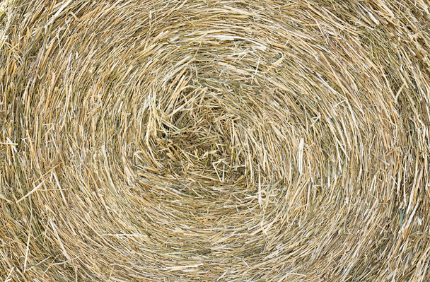 Textura de la pila de heno, primer plano fondo natural - Foto, imagen