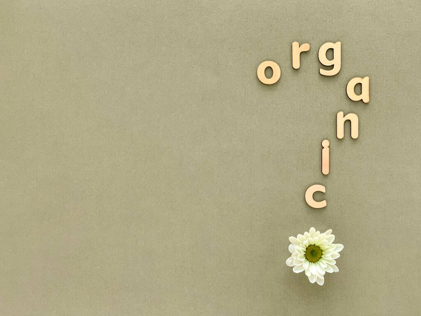 Word Organic with wooden letters in form of question mark, green background, white chrysanthemum - Photo, image
